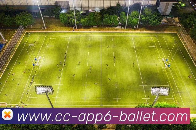 App功能展示图
